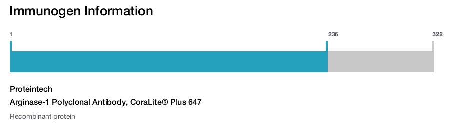 Arginase-1 Polyclonal Antibody, CoraLite&reg; Plus 647