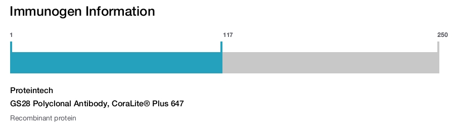 GS28 Polyclonal Antibody, CoraLite&reg; Plus 647
