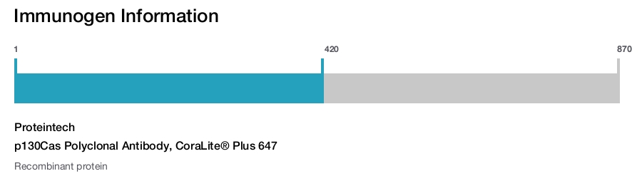 p130Cas Polyclonal Antibody, CoraLite&reg; Plus 647
