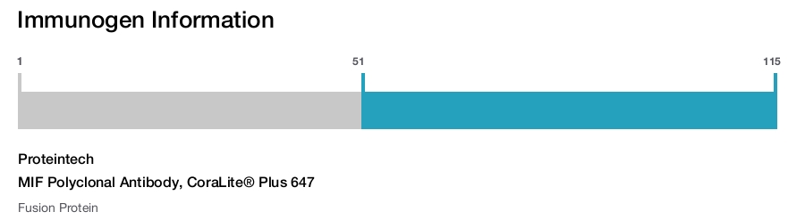 MIF Polyclonal Antibody, CoraLite&reg; Plus 647