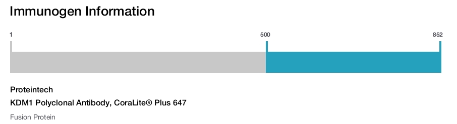 KDM1 Polyclonal Antibody, CoraLite&reg; Plus 647
