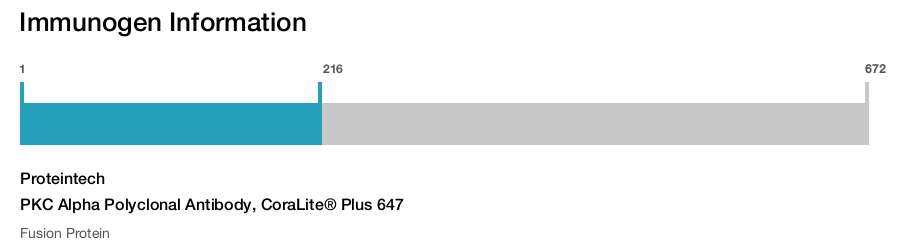 PKC Alpha Polyclonal Antibody, CoraLite&reg; Plus 647