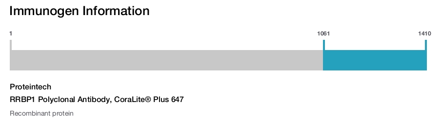 RRBP1 Polyclonal Antibody, CoraLite&reg; Plus 647