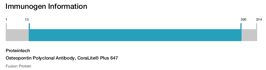 Osteopontin Polyclonal Antibody, CoraLite&reg; Plus 647