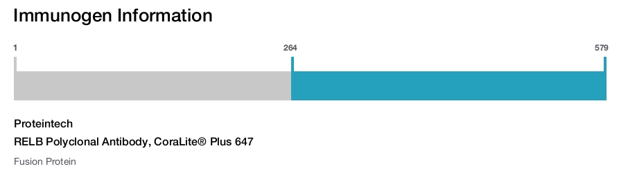RELB Polyclonal Antibody, CoraLite&reg; Plus 647