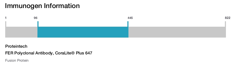 FER Polyclonal Antibody, CoraLite&reg; Plus 647