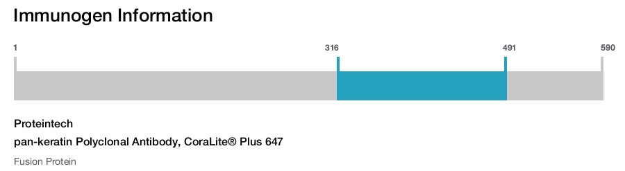 pan-keratin Polyclonal Antibody, CoraLite&reg; Plus 647
