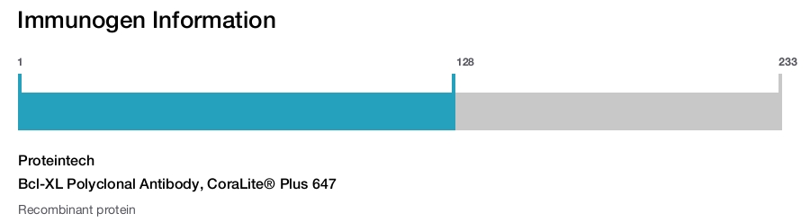Bcl-XL Polyclonal Antibody, CoraLite&reg; Plus 647