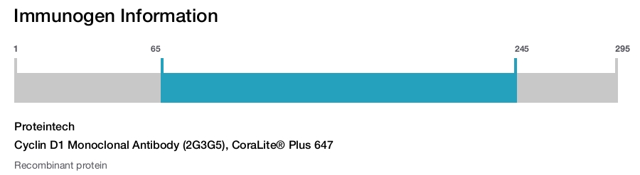 Cyclin D1 Monoclonal Antibody (2G3G5), CoraLite&reg; Plus 647