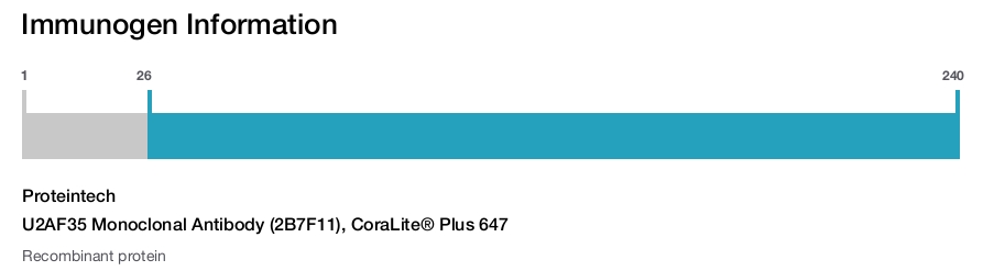 U2AF35 Monoclonal Antibody (2B7F11), CoraLite&reg; Plus 647