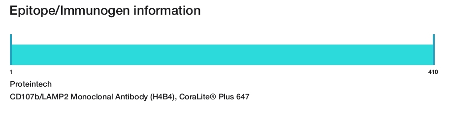 CD107b/LAMP2 Monoclonal Antibody (H4B4), CoraLite&reg; Plus 647