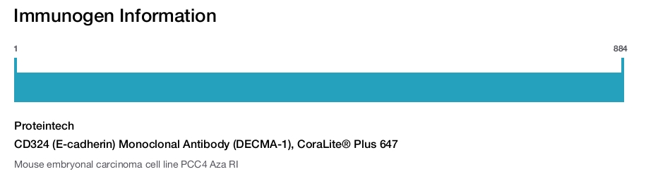 CD324 (E-cadherin) Monoclonal Antibody (DECMA-1), CoraLite® Plus 647