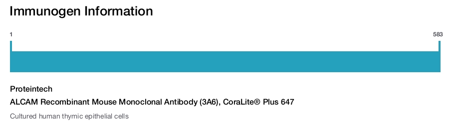 ALCAM Recombinant Mouse Monoclonal Antibody (3A6), CoraLite&reg; Plus 647