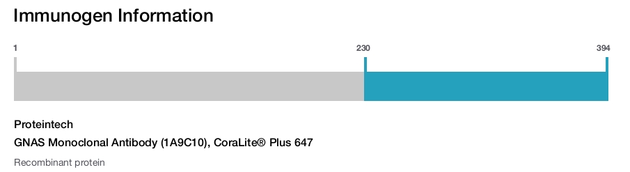 GNAS Monoclonal Antibody (1A9C10), CoraLite&reg; Plus 647