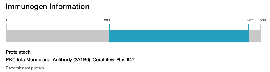 PKC Iota Monoclonal Antibody (3A1B6), CoraLite&reg; Plus 647