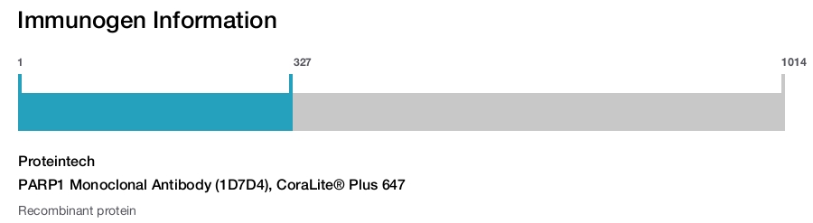 PARP1 Monoclonal Antibody (1D7D4), CoraLite&reg; Plus 647