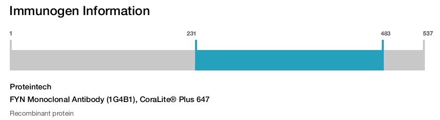 FYN Monoclonal Antibody (1G4B1), CoraLite&reg; Plus 647