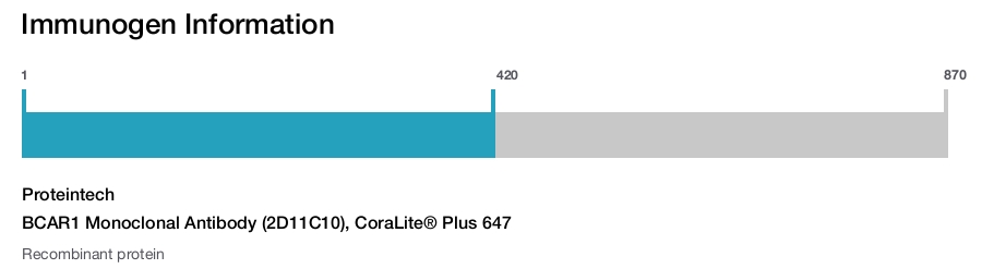 BCAR1 Monoclonal Antibody (2D11C10), CoraLite&reg; Plus 647