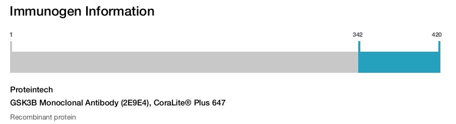 GSK3B Monoclonal Antibody (2E9E4), CoraLite® Plus 647