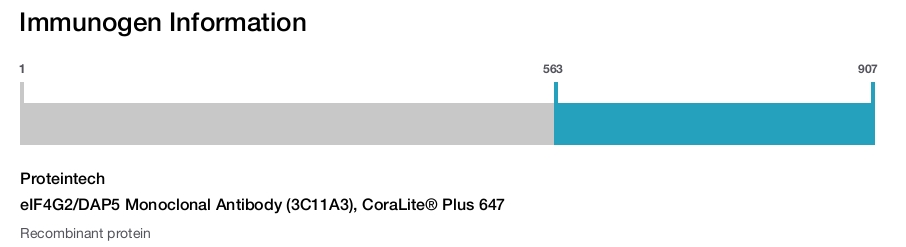 eIF4G2/DAP5 Monoclonal Antibody (3C11A3), CoraLite&reg; Plus 647