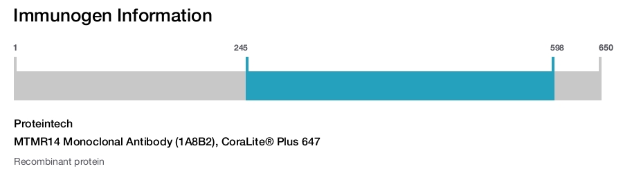 MTMR14 Monoclonal Antibody (1A8B2), CoraLite&reg; Plus 647
