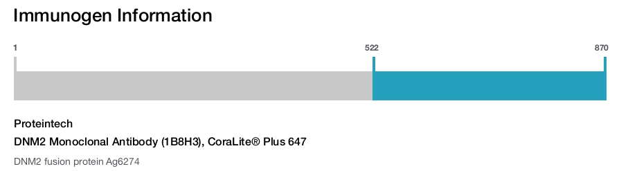 DNM2 Monoclonal Antibody (1B8H3), CoraLite&reg; Plus 647