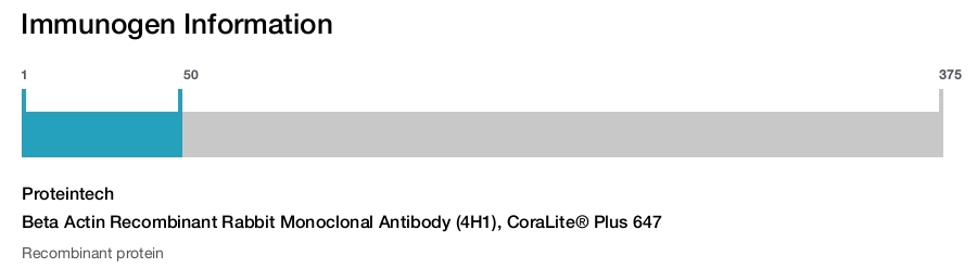 Beta Actin Recombinant Rabbit Monoclonal Antibody (4H1), CoraLite&reg; Plus 647
