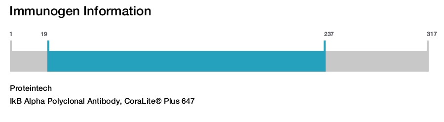 IkB Alpha Polyclonal Antibody, CoraLite&reg; Plus 647