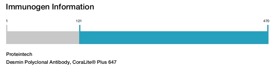 Desmin Polyclonal Antibody, CoraLite&reg; Plus 647