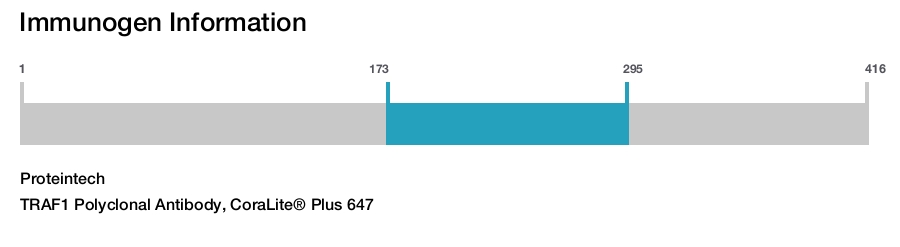 TRAF1 Polyclonal Antibody, CoraLite&reg; Plus 647