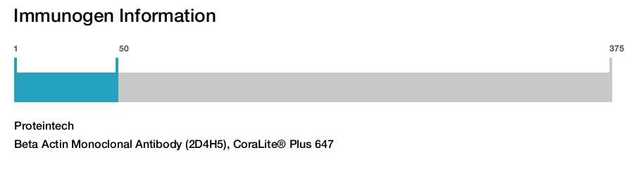 Beta Actin Monoclonal Antibody (2D4H5), CoraLite&reg; Plus 647