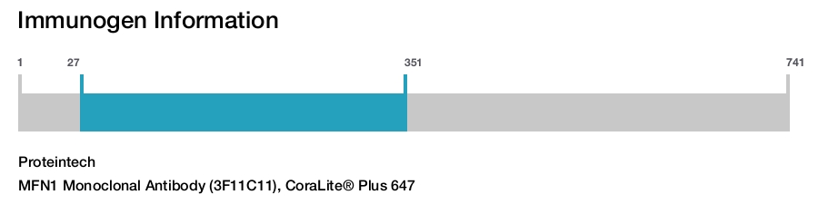 MFN1 Monoclonal Antibody (3F11C11), CoraLite&reg; Plus 647