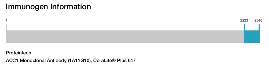 ACC1 Monoclonal Antibody (1A11G10), CoraLite&reg; Plus 647