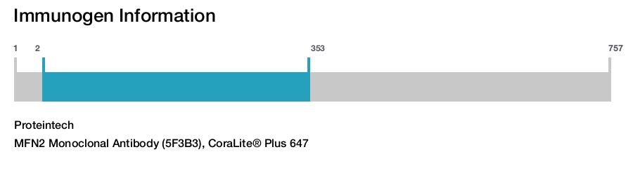 MFN2 Monoclonal Antibody (5F3B3), CoraLite&reg; Plus 647