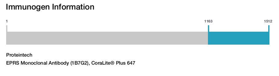 EPRS Monoclonal Antibody (1B7G2), CoraLite&reg; Plus 647