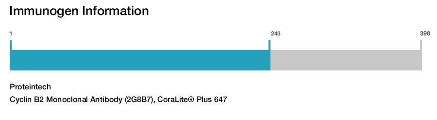 Cyclin B2 Monoclonal Antibody (2G8B7), CoraLite&reg; Plus 647