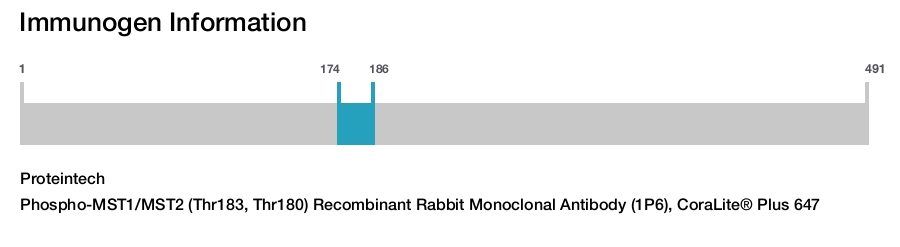 Phospho-MST1/MST2 (Thr183, Thr180) Recombinant Rabbit Monoclonal Antibody (1P6), CoraLite&reg; Plus 647