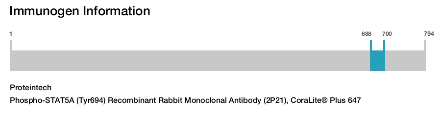 Phospho-STAT5A (Tyr694) Recombinant Rabbit Monoclonal Antibody (2P21), CoraLite&reg; Plus 647