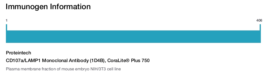 CD107a/LAMP1 Monoclonal Antibody (1D4B), CoraLite&reg; Plus 750