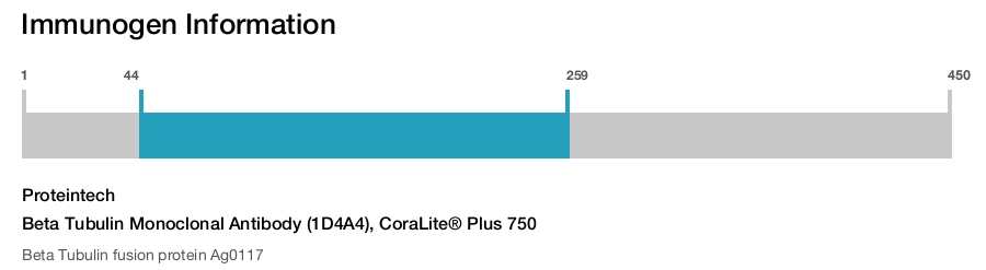Beta Tubulin Monoclonal Antibody (1D4A4), CoraLite&reg; Plus 750