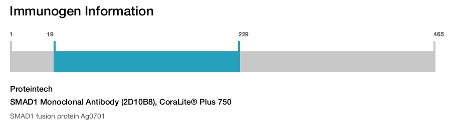 SMAD1 Monoclonal Antibody (2D10B8), CoraLite&reg; Plus 750