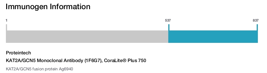 KAT2A/GCN5 Monoclonal Antibody (1F6G7), CoraLite&reg; Plus 750