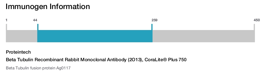 Beta Tubulin Recombinant Rabbit Monoclonal Antibody (2O13), CoraLite&reg; Plus 750