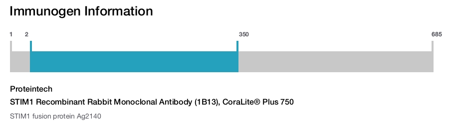 STIM1 Recombinant Rabbit Monoclonal Antibody (1B13), CoraLite&reg; Plus 750
