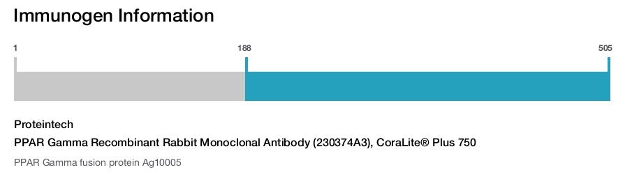 PPAR Gamma Recombinant Rabbit Monoclonal Antibody (230374A3), CoraLite&reg; Plus 750