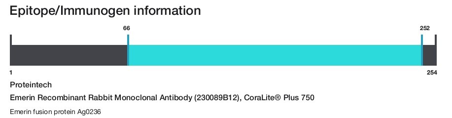 Emerin Recombinant Rabbit Monoclonal Antibody (230089B12), CoraLite&reg; Plus 750