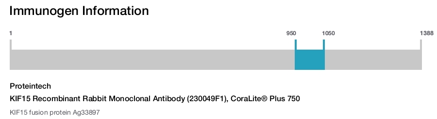 KIF15 Recombinant Rabbit Monoclonal Antibody (230049F1), CoraLite® Plus 750