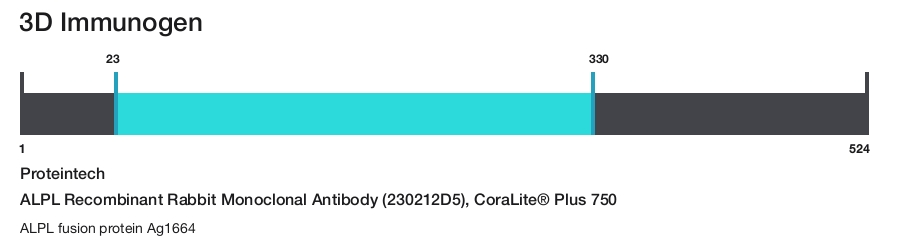 ALPL Recombinant Rabbit Monoclonal Antibody (230212D5), CoraLite&reg; Plus 750
