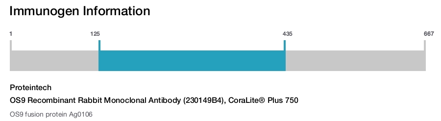OS9 Recombinant Rabbit Monoclonal Antibody (230149B4), CoraLite® Plus 750