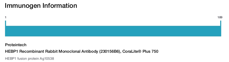 HEBP1 Recombinant Rabbit Monoclonal Antibody (230156B6), CoraLite&reg; Plus 750